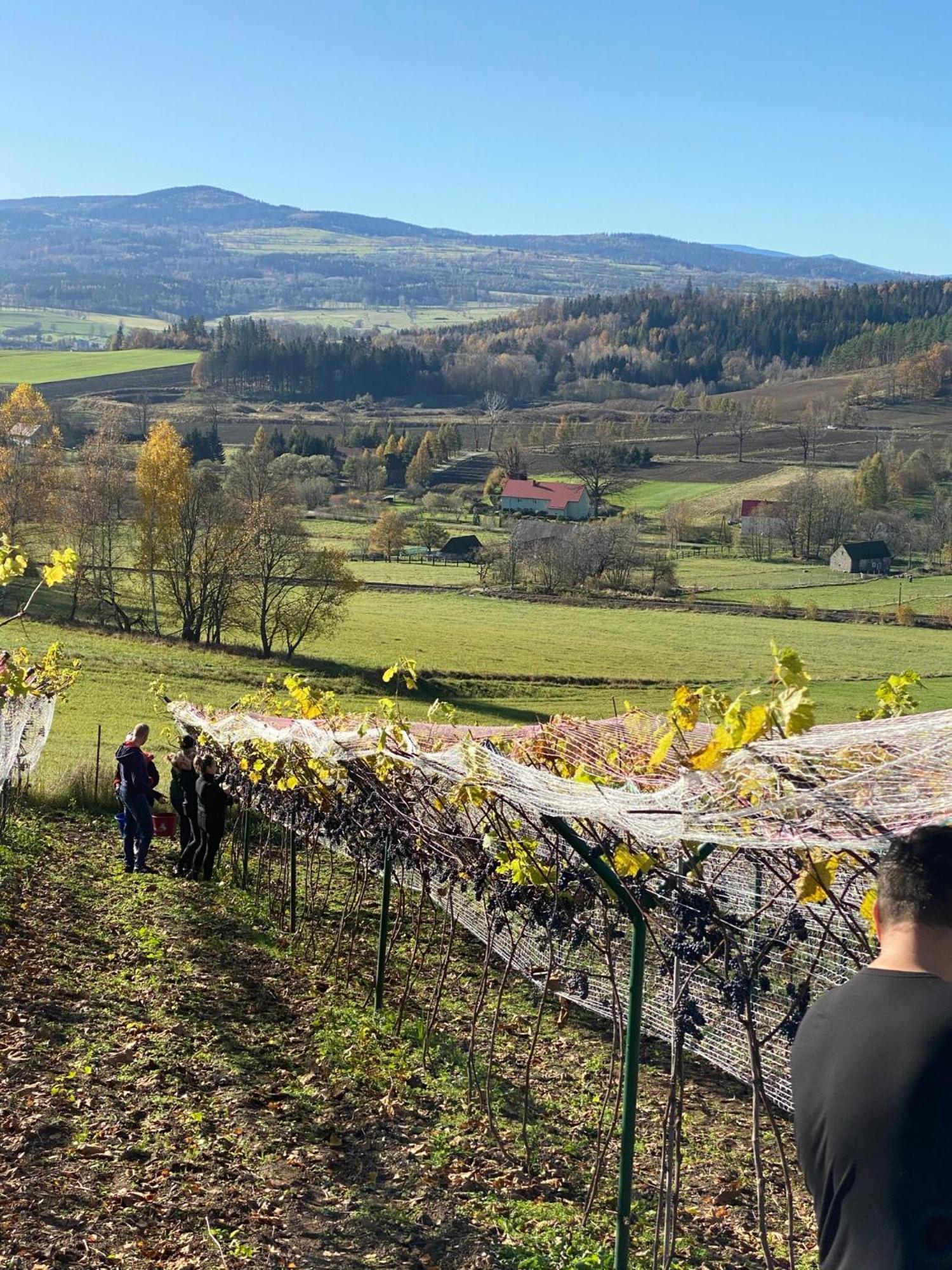 Agroturystyka Agro-Podkowka Marciszów Kültér fotó