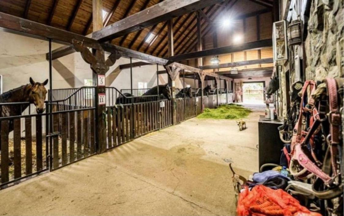 Agroturystyka Agro-Podkowka Marciszów Kültér fotó