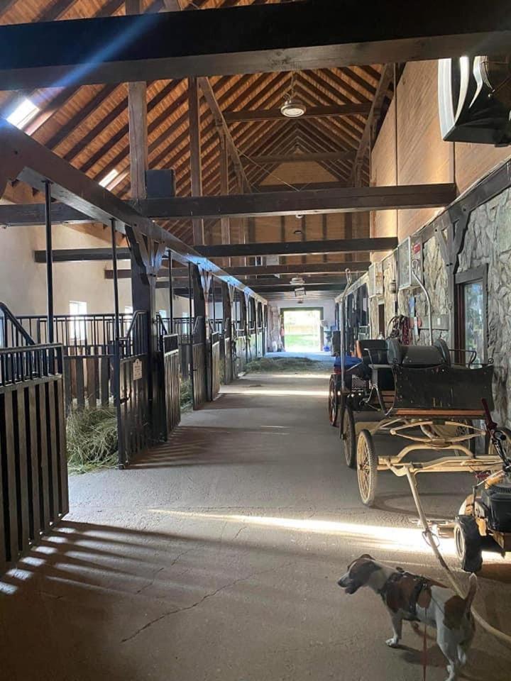 Agroturystyka Agro-Podkowka Marciszów Kültér fotó